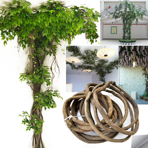 植物仿真树叶树枝树藤装饰图片