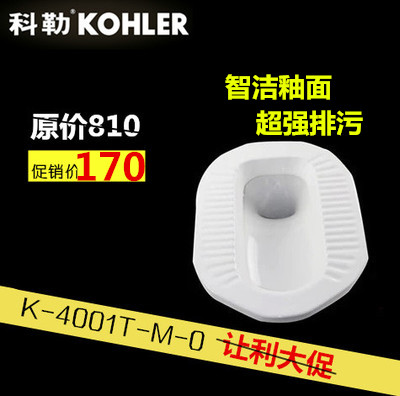 科勒蹲便器 正品K-4001T-M-0蹲便器水箱整套 防臭蹲坑 便池