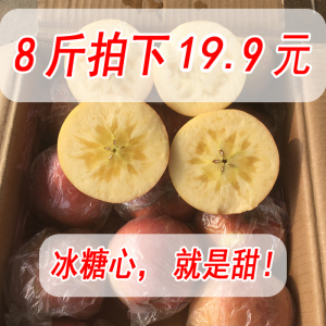 冰糖心苹果水果批发包邮 新鲜当季生鲜水果红富士 大沙河 苹果8斤红富士新鲜水果