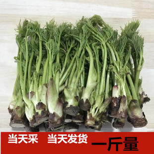 野菜