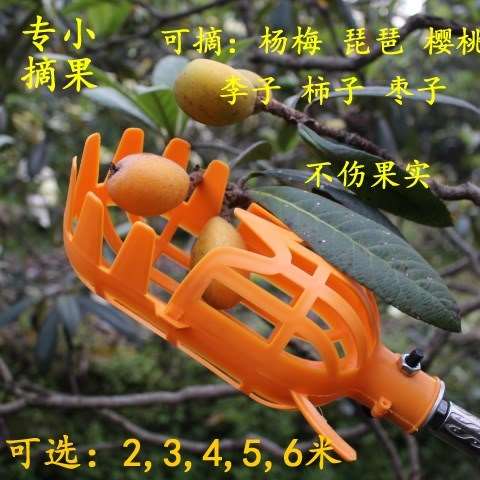 柿子采摘手摘果器高空多功能5米杨梅神器水果伸缩杆采摘机花椒2米