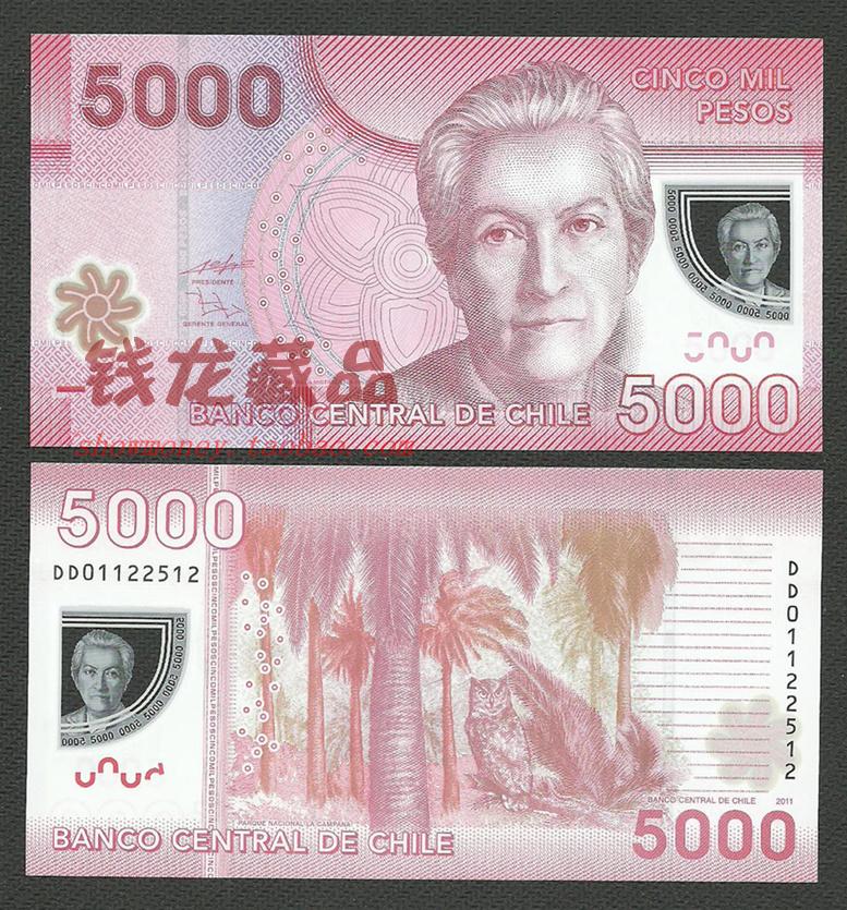 美洲 全新unc 智利 5000比索 2011年 外国纸币 钱币