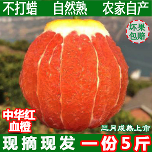 正宗秭归脐橙红心甜橙子红肉中华红血橙新鲜水果5斤包邮超塔罗科新鲜橙子