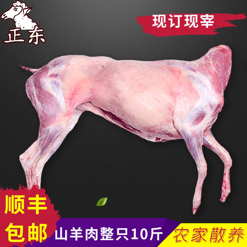 靖远羊羔肉甘肃全羊肉新鲜整只烤全羊10斤山羊肉生羊肉批发现杀