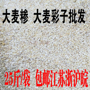 苏北盐城特产煮粥煮饭大麦渣五谷杂粮麦糁子磨碎大麦彩子25斤包邮