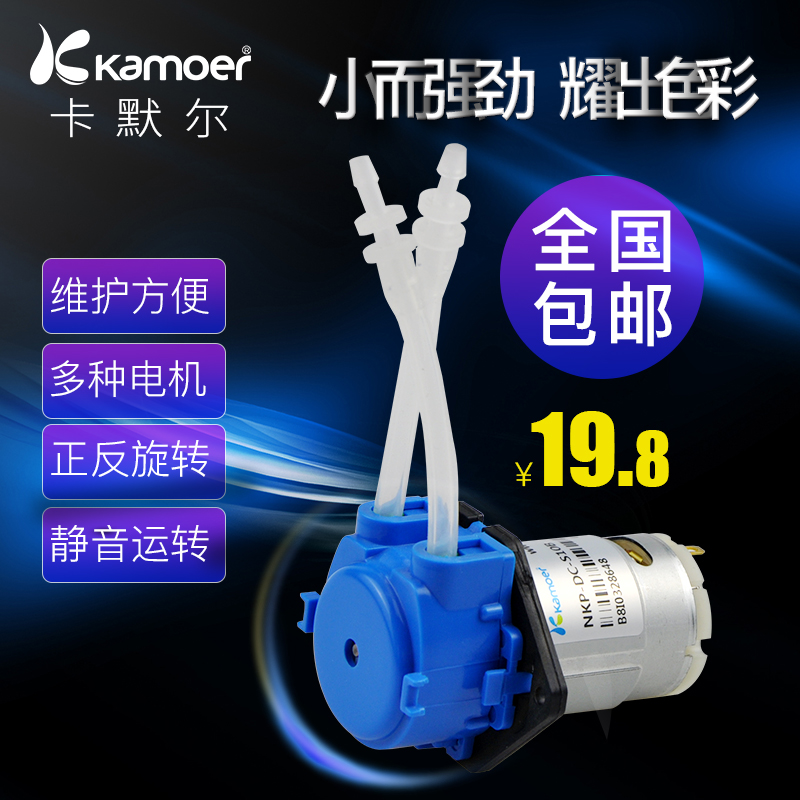 蠕动泵12v微型泵家用全自动静音自吸泵直流电动小抽水泵 迷你水泵