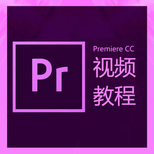 视频制作教程pr图片