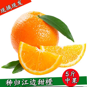 秭归新鲜现摘中小果伦晚脐橙当季时令水果橙子5斤包邮孕妇手剥橙新鲜橙子