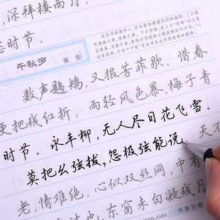 成人行书字帖学生钢笔字贴速成临摹描红练字本吴玉生行楷练字帖