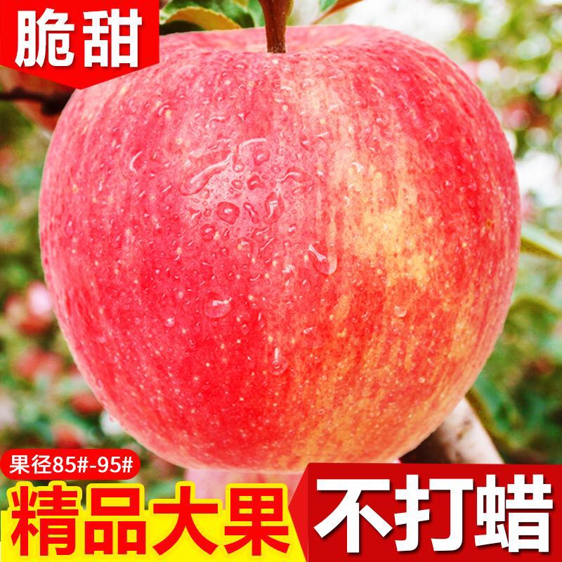 甘肃静宁苹果水果新鲜包邮10斤应季当季丑红富士平果整箱吃的萍果