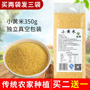 小黄米 粗粮杂粮米粥粟米粮油月子米小米粥农家杂粮粗粮350g袋装