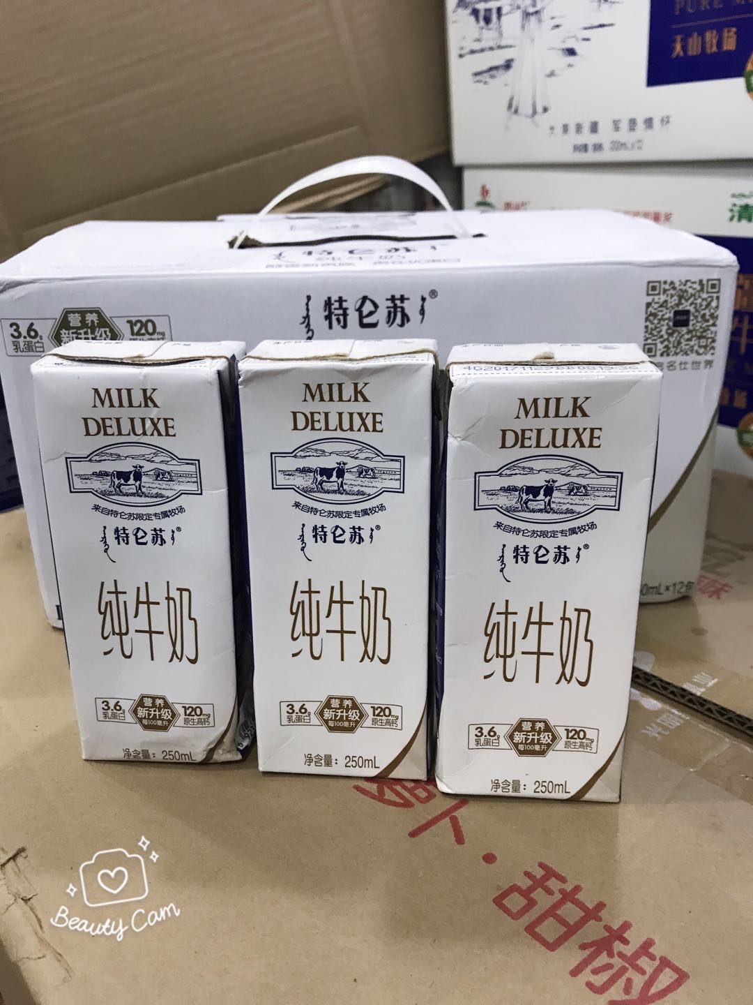 蒙牛特仑苏纯牛奶250ml*12盒包邮