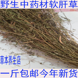 野生中药材铁甲草 益肝草 乙肝草 肝/炎草 软肝草中草药500克包邮