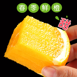 秭归伦晚脐橙5斤 应季橙子非赣南 当季孕妇水果批发包邮新鲜整箱新鲜橙子
