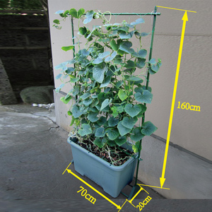 class=h>支架 /span> 盆栽室内家庭种植植物花卉花架 园艺攀爬 span