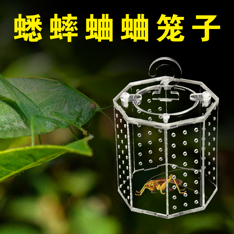 亚克力透明蛐蛐笼子蟋蟀蝈蝈笼昆虫笼鸣虫叫罐蛐蛐罐爬虫笼爬宠罐