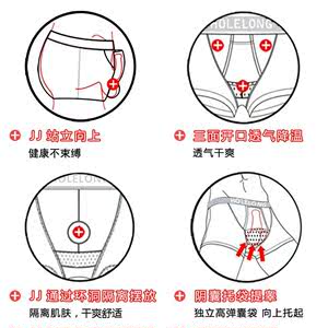 男士内裤阴囊袋图片