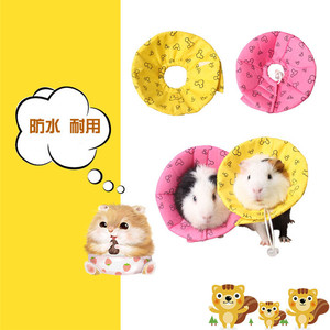 小猫咪小宠耻辱圈伊丽莎白项圈荷兰猪豚鼠仓鼠龙猫防护罩hamster