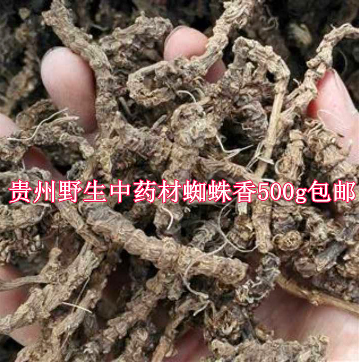 贵州野生蜘蛛香500g 中草药材马蹄香缬草养心莲猫儿屎老虎七 包邮