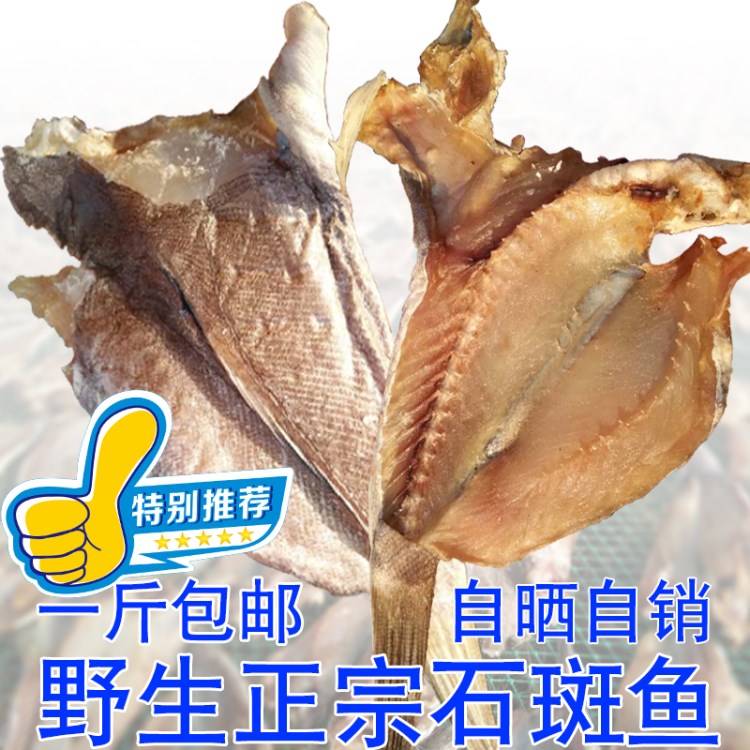 广西北海海鲜渔家野生自制风干野生微大石斑鱼咸鱼干干货1斤包邮