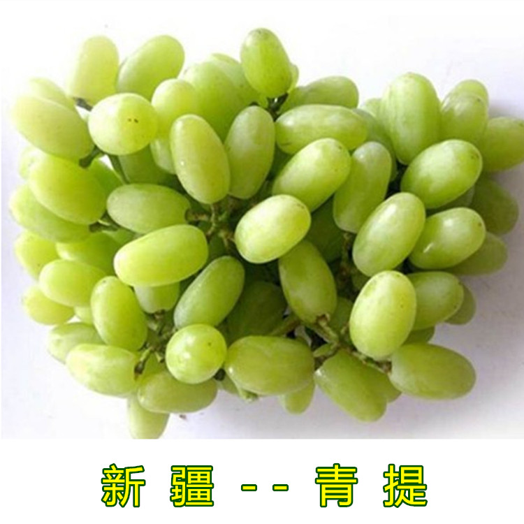 【京城果园】新鲜水果 新疆葡萄 绿葡萄 青提子(500g)水果配送