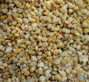 黄金沙/天然河沙/鱼缸底沙/乌龟底砂/水草造景沙子500g