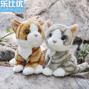 花猫