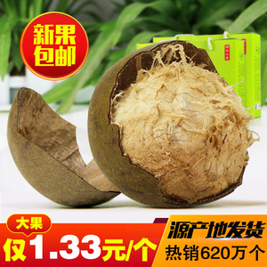 百寿元 罗汉果 大果新鲜罗汉果茶广西桂林永福特产24个果干罗汉果
