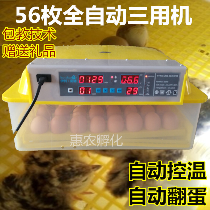 鸡蛋浮蛋箱家用小型孵化机全自动孵化箱小鸡孵化设备卵化机卵化器