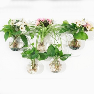 创意墙壁挂式简约现代玻璃小花瓶 悬挂玻璃透明插花水培花瓶花器