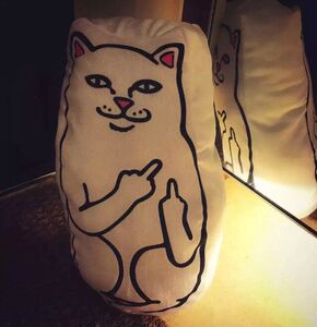 ripndip中指猫 span class=h>抱枕 /span>趣味 span class=h>外星 