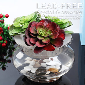 透明玻璃鱼缸绿萝水培花瓶花器 圆形花边玻璃