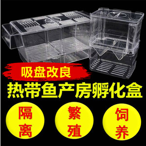 青鱼蓝斗鱼孔雀鱼繁殖盒孵化盒隔离盒鱼缸热带
