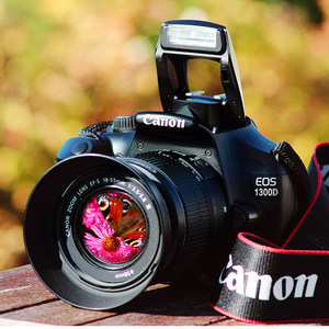 Canon EOS 1300D数码单反摄影技巧大全佳能