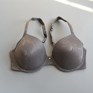 金属文胸胸罩图片