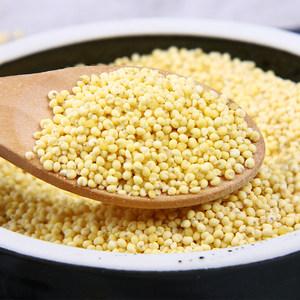 大黄米新米图片