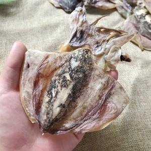 小墨鱼干图片