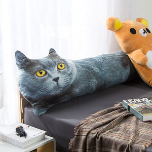 ins网红男女朋友 span class=h>抱枕 /span>创意异性短毛猫 span