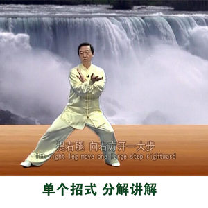 陈氏陈式太极拳视频教程高清教学大全基础入门