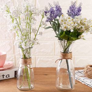 【玻璃花瓶透明插花摆设茶几图片】玻璃花瓶透明插花摆设茶几图片大全