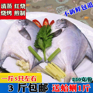 【连云港海鲜图片】连云港海鲜图片大全