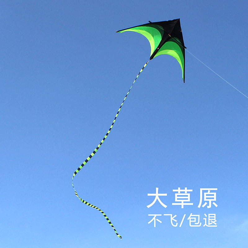新款潍坊风筝大型大草原风筝儿童成人三角好飞易飞风筝包邮送长尾