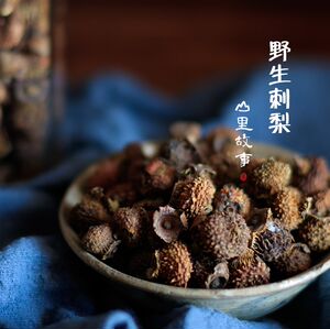 【野生刺梨图片】野生刺梨图片大全