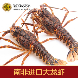 悦胜 进口鲜冻南非龙虾250g-300g/只*2只装 年货送礼新鲜顺丰包邮