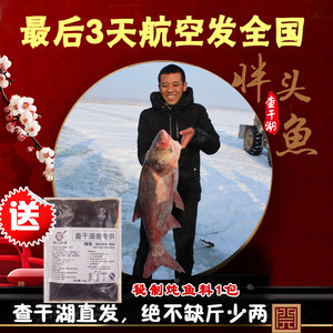 三文鱼头鱼头 三文鱼头鱼头新鲜包邮