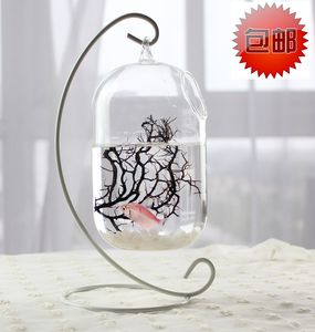 【迷你斗鱼缸图片】迷你斗鱼缸图片大全