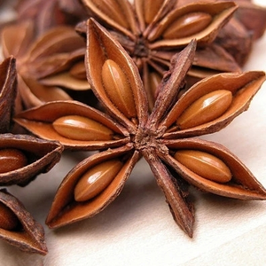 大茴香八角大料广西八角散装香料调料大全香料500g包邮