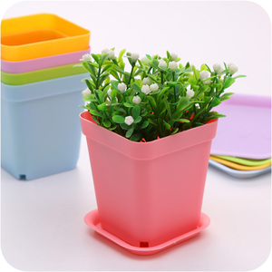 创意桌面盆栽花盆适合多肉植物个性花盆托盘塑料迷你小花盆种菜盆