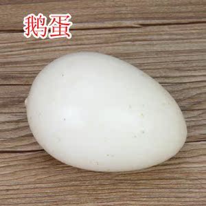 模型鹅蛋仿真假鹅蛋白色大鸡蛋鸭蛋鹅蛋泡沫摄影道具早教玩具
