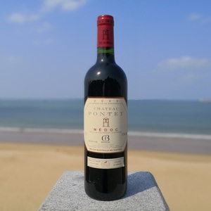 chateau pontey 朋特古堡紅葡萄酒 法國波爾多原瓶進口 2009年份